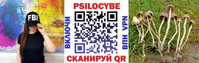 Галлюциногенные грибы GOLDEN TEACHER  Ужур 