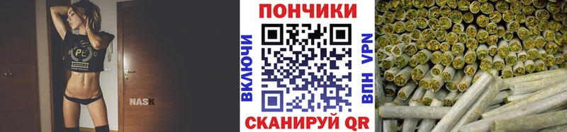гидра вход  Ужур  Бошки марихуана индика 